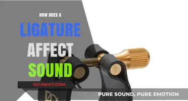 How Ligatures Influence Sound Production in Wind Instruments