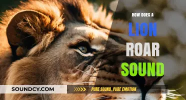 Unveiling the Majestic Lion's Roar: A Deep Dive into Its Sound