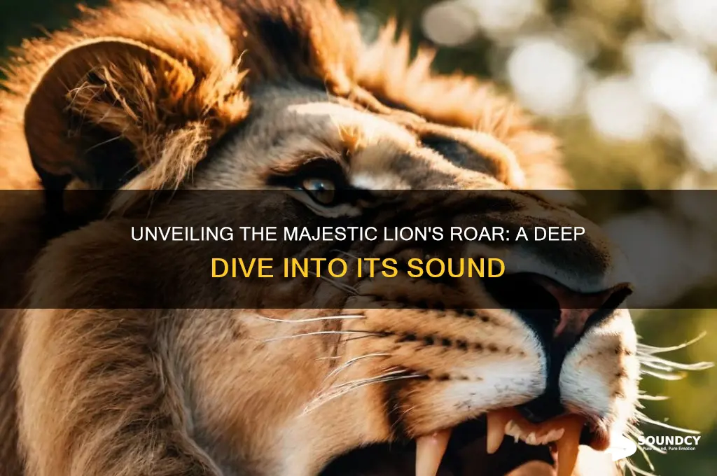 how does a lion roar sound