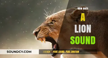 Roaring Revelations: Decoding the Majestic Lion's Powerful Vocalizations
