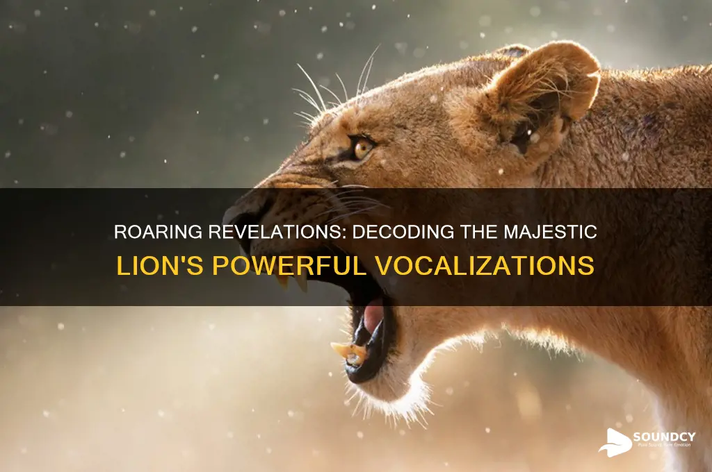 how does a lion sound