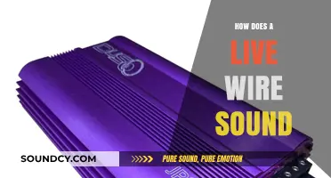 The Audible Buzz: Unraveling the Unique Sound of a Live Wire