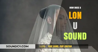 Exploring the Unique Pronunciation and Usage of the Lon U Sound