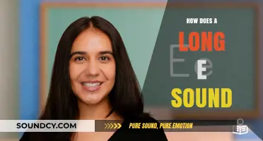 Mastering the Long E Sound: Phonetic Tips and Tricks for Clear Speech