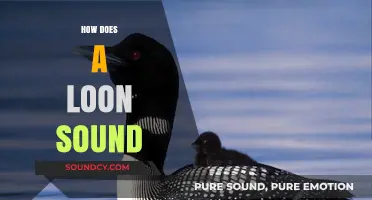 The Haunting Call of the Loon: Unraveling Its Unique Vocalizations