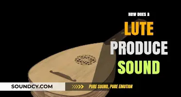 Understanding the Lute: How Strings and Body Create Its Unique Sound