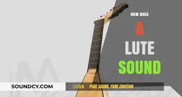 Exploring the Unique, Enchanting Sound of the Lute: A Guide