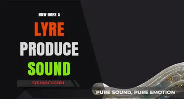 Unveiling the Lyre's Melody: How Strings and Resonance Create Sound