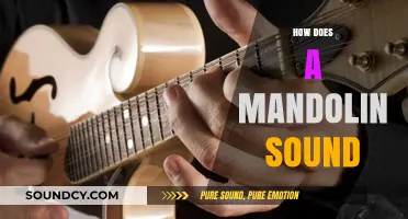 Exploring the Bright, Crisp, and Unique Sound of a Mandolin