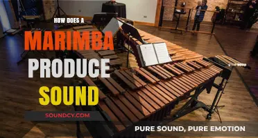 Unveiling the Vibrant Resonance: How Marimbas Create Their Unique Sound
