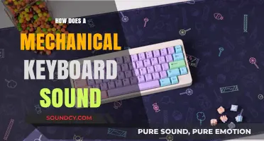 Exploring the Unique Acoustic Experience of Mechanical Keyboard Sounds
