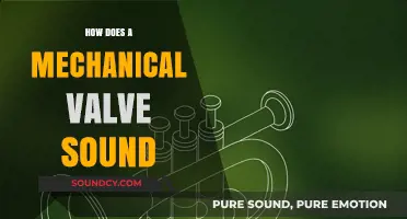 Understanding the Distinct Sound of a Mechanical Valve in Action