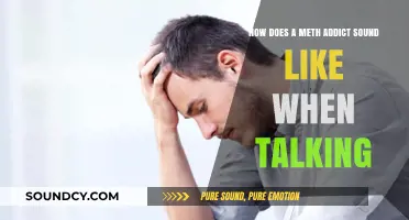 Unraveling the Speech Patterns of Meth Addiction: A Vocal Journey