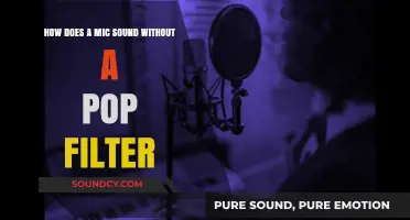 Mic Without Pop Filter: Unfiltered Sound Quality Revealed