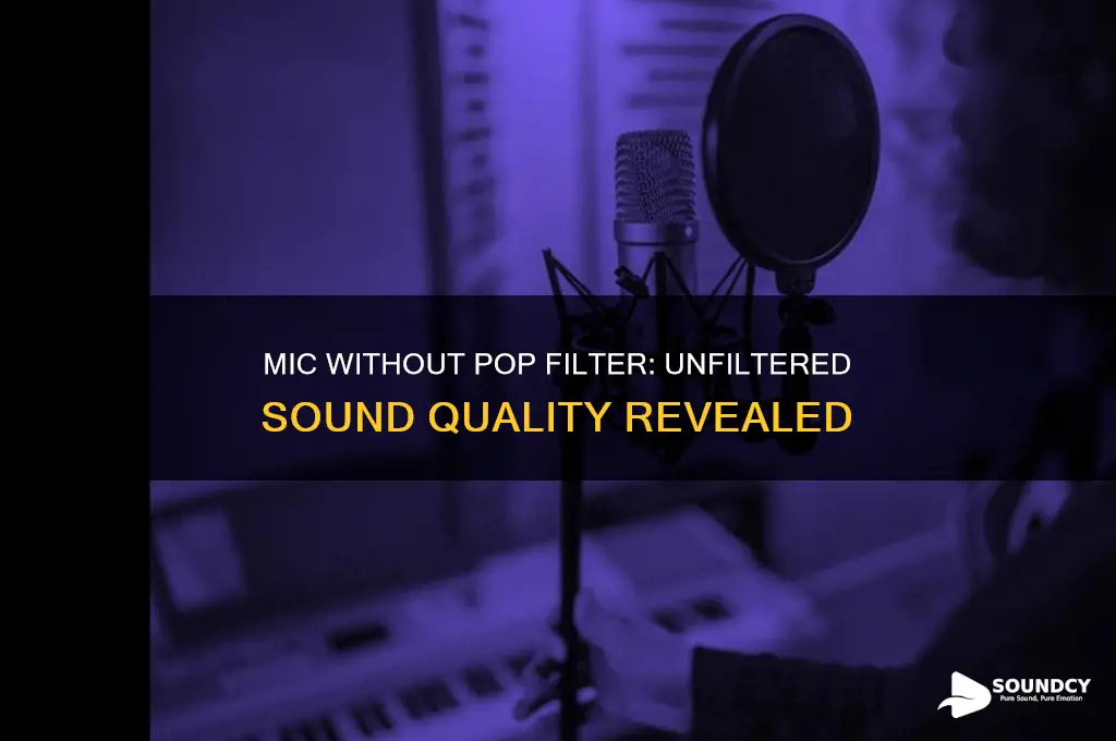 how does a mic sound without a pop filter