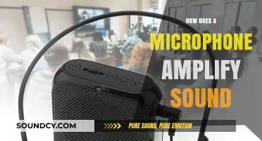 How Microphones Capture and Amplify Sound Waves Explained