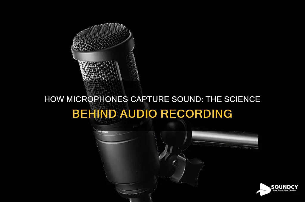 how does a microphone capture sound