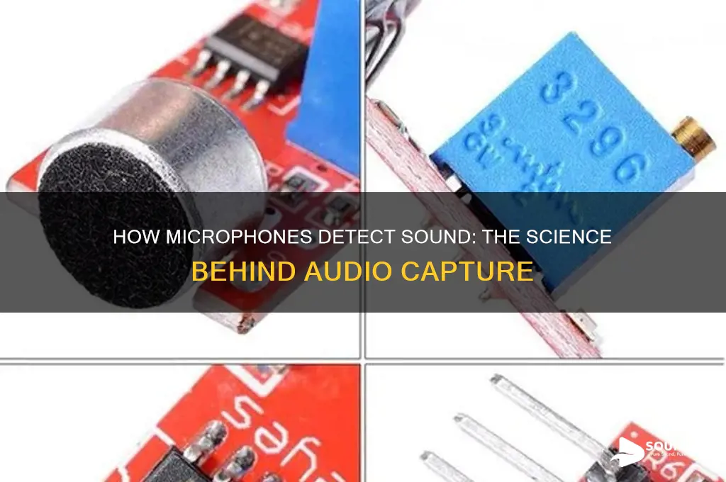 how does a microphone detect sound