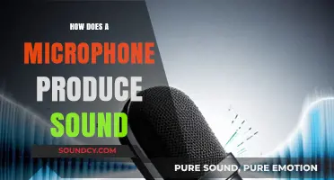 How Microphones Transform Vibrations into Clear, Amplified Sound Waves