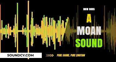 Understanding the Unique Tone and Nuance of a Human Moan