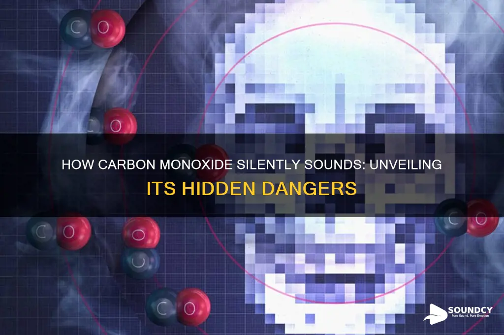 how does a monoxide also sound
