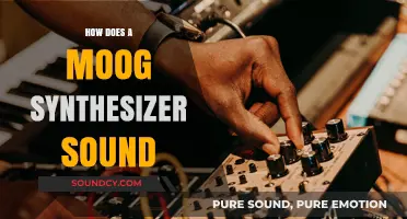 Exploring the Unique Sonic Signature of a Moog Synthesizer