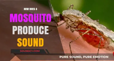 Unveiling the Buzz: How Mosquitoes Create Their Signature Sound