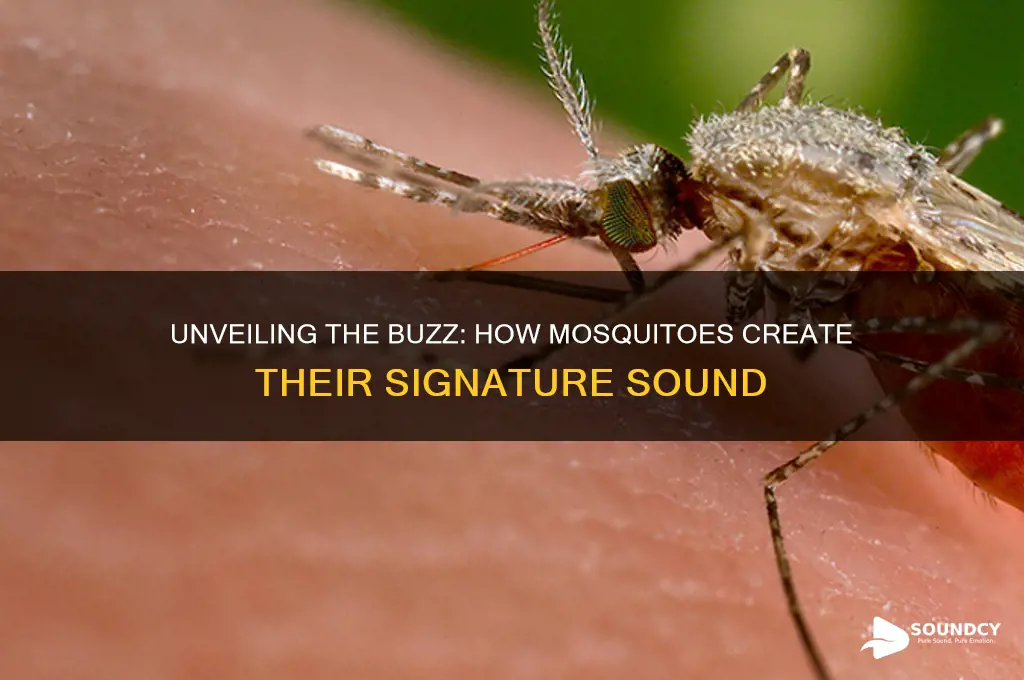 how does a mosquito produce sound