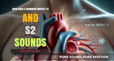Understanding Heart Murmurs: Effects on S1 and S2 Cardiac Sounds