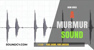 Understanding Heart Murmurs: What Does a Murmur Sound Like?