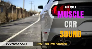 The Roaring Symphony: Unveiling the Iconic Muscle Car Sound