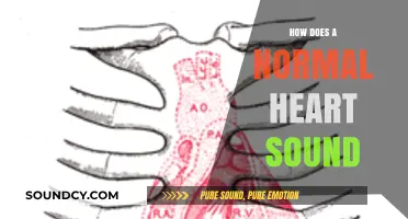 Understanding the Rhythm: What a Healthy Heart Sounds Like