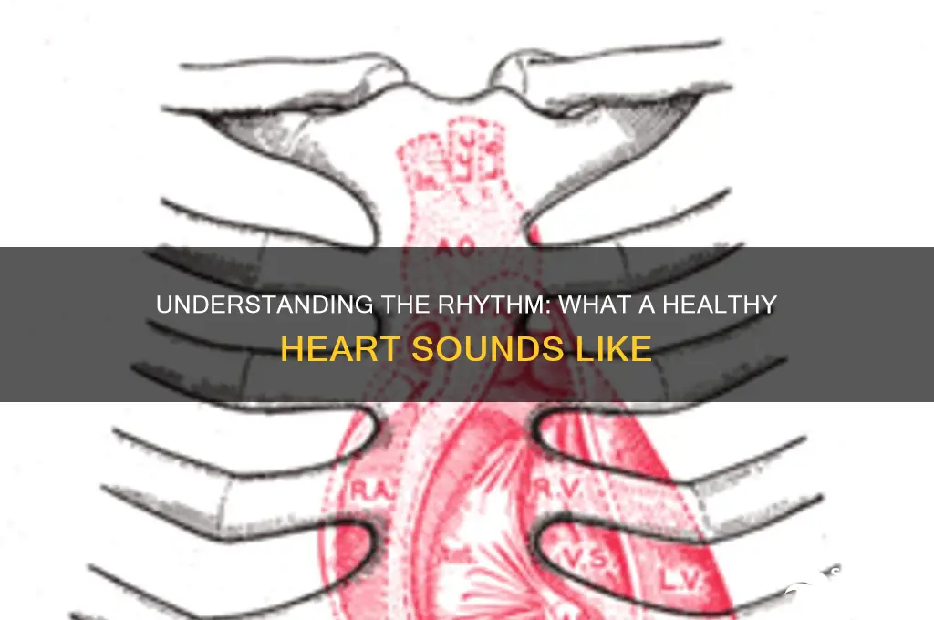 how does a normal heart sound