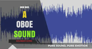 Exploring the Unique, Expressive Tone of the Oboe: A Sonic Journey