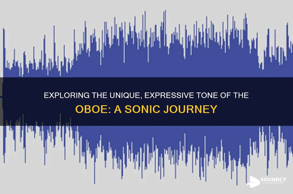 how does a oboe sound