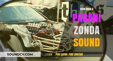 Experience the Roaring Symphony: Pagani Zonda's Engine Sound Explored