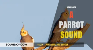 Exploring the Unique and Vibrant Sounds of Parrots in Nature