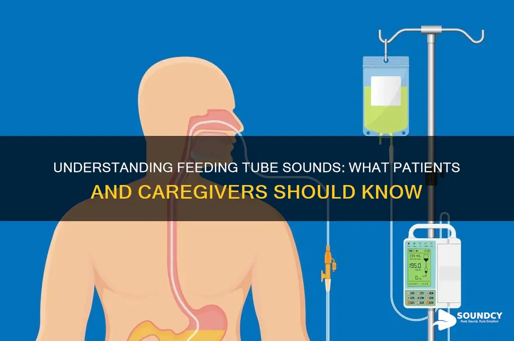 how does a patient with a feeding tube sound