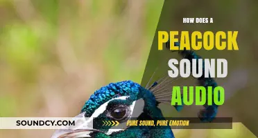 Unveiling the Unique Calls: How Does a Peacock Sound in Audio?