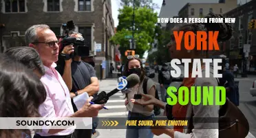 Distinct New York State Accent: How Locals Truly Sound and Speak