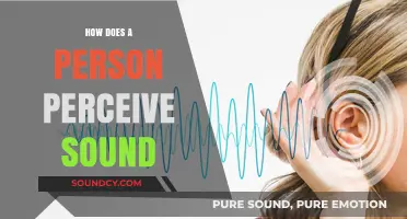 Unraveling the Mysteries of Human Sound Perception and Processing