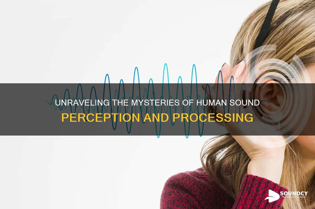 how does a person perceive sound