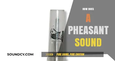 Unveiling the Unique Calls: How Does a Pheasant Sound?