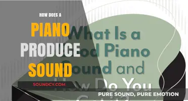 The Science Behind Piano Sound: Strings, Hammers, and Vibrations Explained