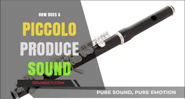 Understanding the Piccolo: How Air and Keys Create Musical Sound