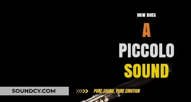 Exploring the Unique, High-Pitched Sound of the Piccolo: A Guide