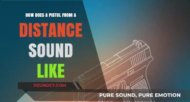The Distant Crack of a Pistol: Unraveling Its Unique Sound