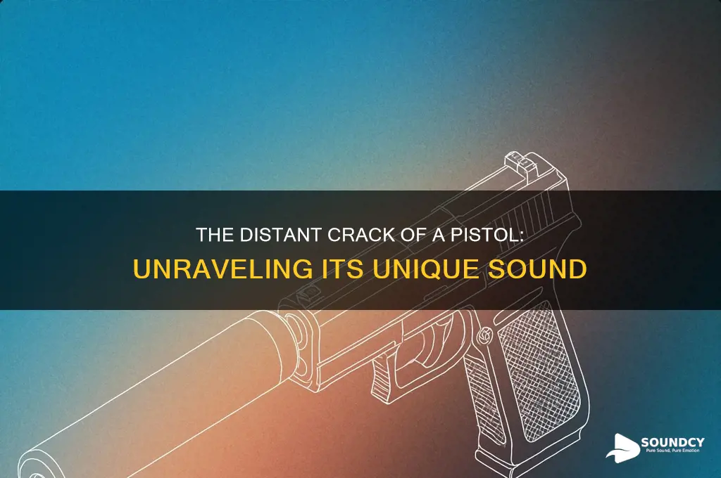 how does a pistol from a distance sound like