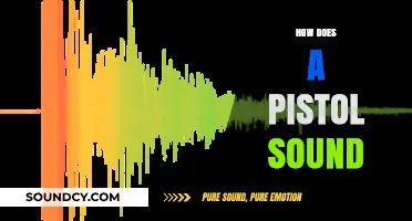 The Distinctive Sound of a Pistol: Decoding Its Acoustic Signature