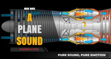 Exploring the Unique Sounds of Airplanes: From Engines to Wind